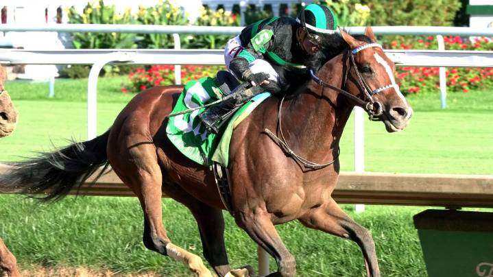 Mystik Dan shines at Churchill Downs with substitute jockey Arrieta
