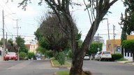 Esta es la Ruta del Presunto Abusador Serial de Guadalajara