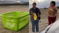 California Puppies Abandoned On The Roadside Tremble Alone Until Strangers Step In