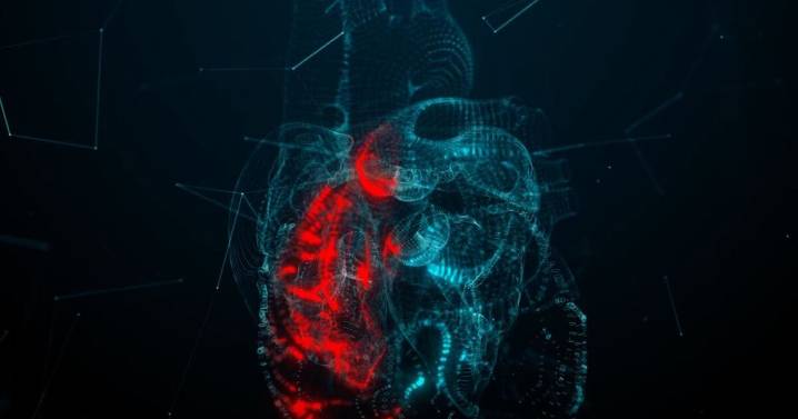 Inteligencia Artificial que escucha tu corazón: así buscan prevenir infartos antes de que sea tarde (VIDEO)