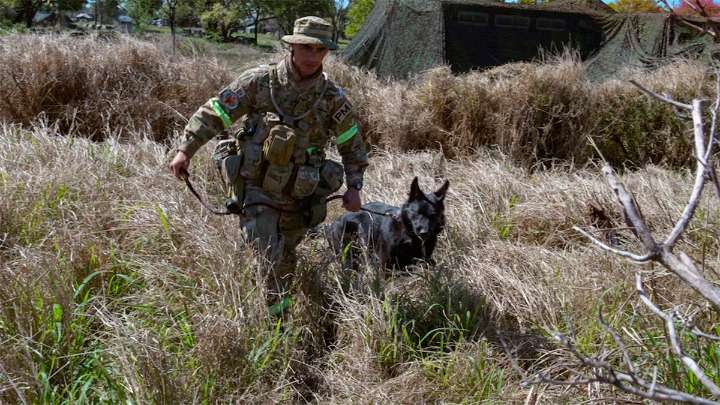 Tobi, el perro de guerra del Ejército Argentino que rescató a un paracaidista tras…