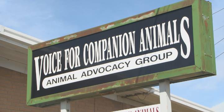 Voice for Companion Animals hosts tailgate silent auction
