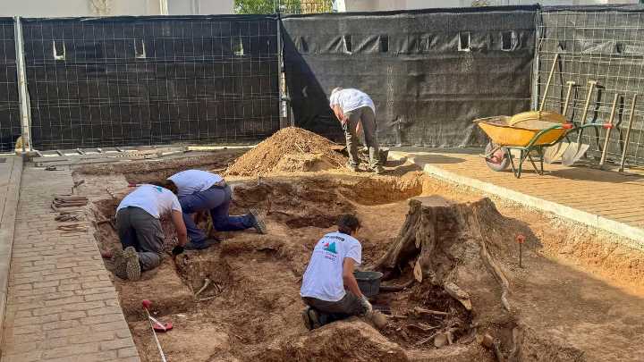 En seis años se han exhumado los restos de 9.000 víctimas de la Guerra Civil