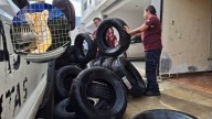 Rescatan a cachorro de tigre durante aseguramiento de llantas en Escobedo