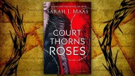 8 Books We Thought Would Be The Next A Court Of Thorns & Roses