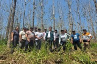 Alianza entre Serfor y banco alemán impulsará gestión forestal sostenible en Perú