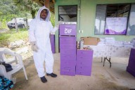 DIF Tamaulipas impulsa producción de miel en comunidades rurales