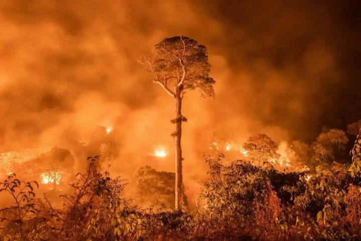 AmazonTEC 2025: Un foro que busca soluciones tecnológicas para combatir los incendios en la Amazonía