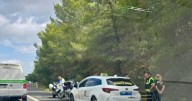 Un taxista de Palma se da a la fuga tras chocar contra otro compañero en Calvià