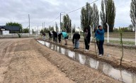 Con la plantación de 100 árboles, 28 de Julio avanza en su plan de forestación