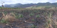 Fundraiser for Kunia fire victims highlights community’s united effort to rebuild