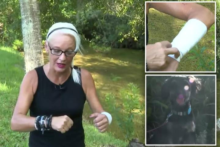 Florida woman punches gator in the eye to save her puppy