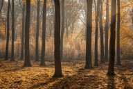 Storms, Shorter Days, and Stress: The mental health side of Louisiana's fall season