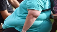 Científicos españoles descubren una nueva vía para tratar la obesidad aprovechando la grasa y sin dejar de comer