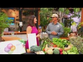 Coastal Roots Farm | Nourishing Community