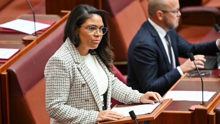 Nationals MP Michael McCormack claims Senator Jacinta Nampijinpa Price's controversial remarks an 'unfortunate distraction'