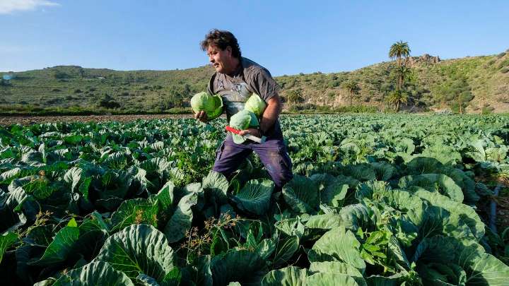 El Estado se alinea con Canarias para evitar recortes de fondos europeos