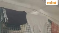 Redditor shares picture of undergarments hung on train berth, internet reacts