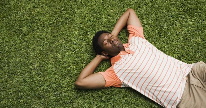 Here’s how you can enjoy a lush, green lawn this fall