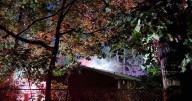 Albany apartment fire displaces four, cause under investigation