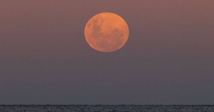 A Blood Moon will glow in UK skies today - how to see the lunar eclipse