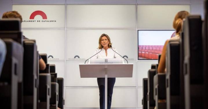 Vox exige saber cuánto gastaron Torra, Aragonès e Illa en inmigración ilegal: «Los catalanes tienen derecho»