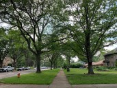 This major Cleveland street is about to get a speed limit reduction