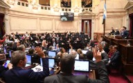 El Senado aprobó un proyecto que pone límites al Presidente en el uso de los DNU
