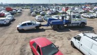Alerta por robos desde corrales: Crimen organizado sustrae vehículos usando documentos falsificados
