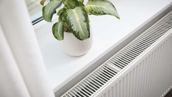Can Houseplants Really Thrive Next To Heaters?