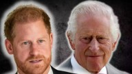 Prince Harry Reunites With King Charles for a 55-Minute Private Tea Meeting