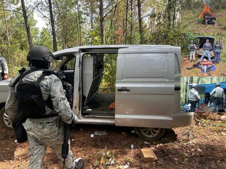 Desmantelan en Michoacán seis campamentos clandestinos
