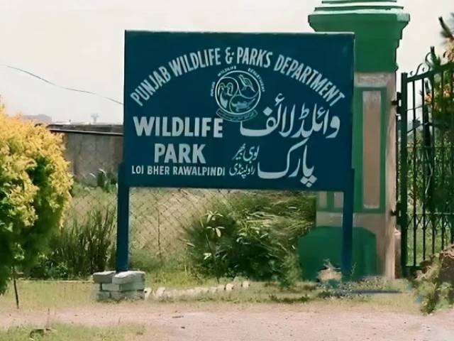 Punjab wildlife protection restructured to three zones
