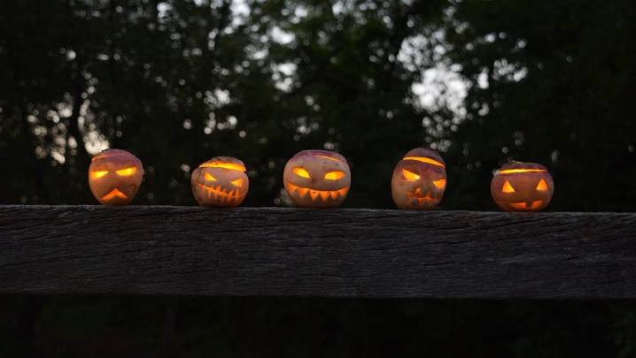 Monroe County Museum rolls out spooky October events and free fun