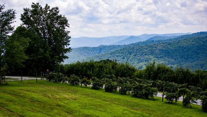 These fall destinations in NC are some of the best in…
