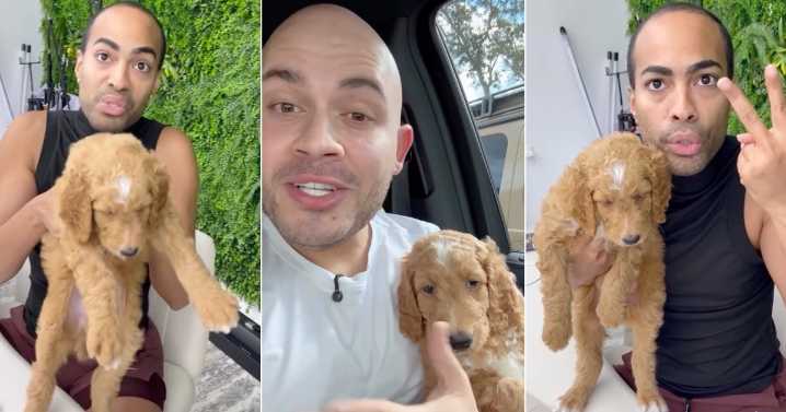 Mario Bouza sorprende a Pollito Tropical con el regalo más tierno y "no deseado"