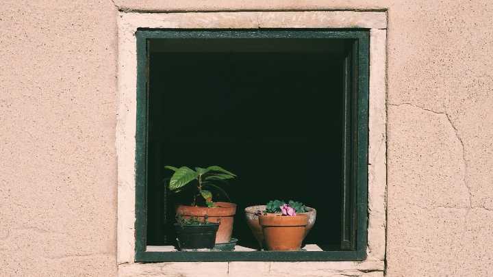 Banderas, plantas y ropa: las prohibiciones por las que el Ayuntamiento de Madrid puede multarte