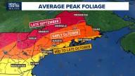Expert predicts varied fall foliage in Maine