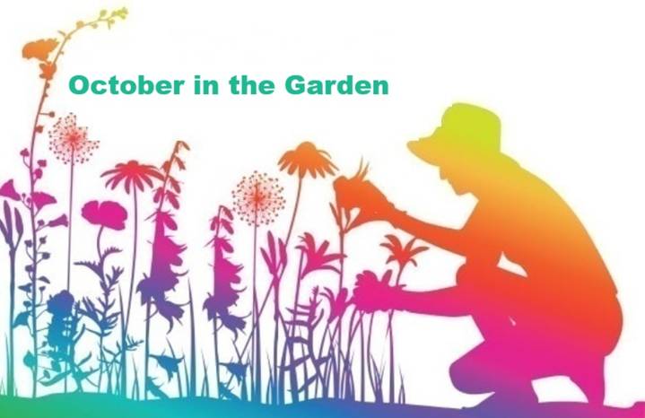 October in the Garden for Central Florida