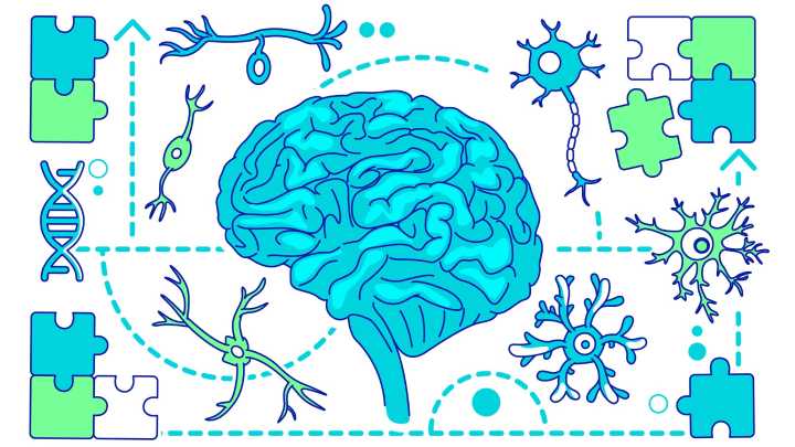 Autism in humans may be linked to evolution