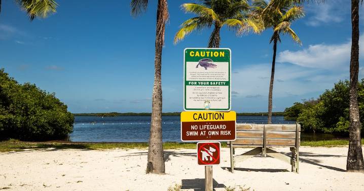 Boy, 8, Airlifted to Hospital After Key Lago Shark Attack