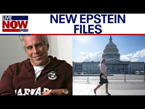 New batch of Epstein files released by Oversight Committee