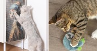 50 Weird Things You Didn't Know About That Make Having A Cat So Much Easier