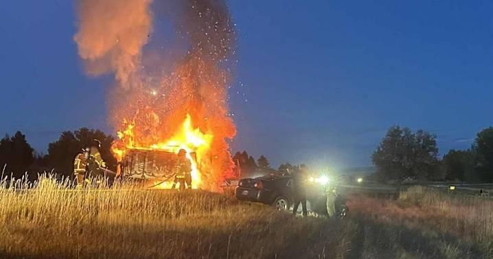 Horse involved in fatal head-on crash near Joliet that killed Texas woman