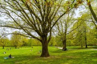 NYC woman punched, knifed during Prospect Park jog: sources