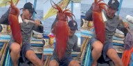 Fisherman gets face full of squid ink as he hauls in his prize