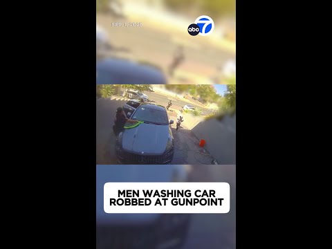 Men washing car robbed at gunpoint in Woodland Hills driveway
