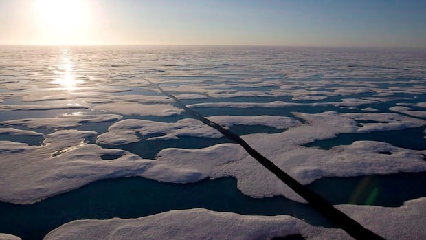 Transport Canada reduced to on-call Arctic surveillance this summer, documents show