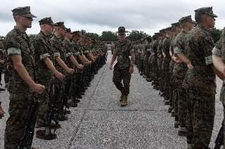 Estados Unidos: TACO ARMY