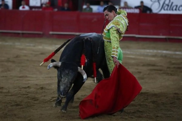 Herido de gravedad el novillero Bruno Aloi